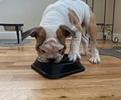 Slow Feeder Dog Bowl for Large Dogs, Food-Safe Material, Anti-Choke Puzzle Bowl
